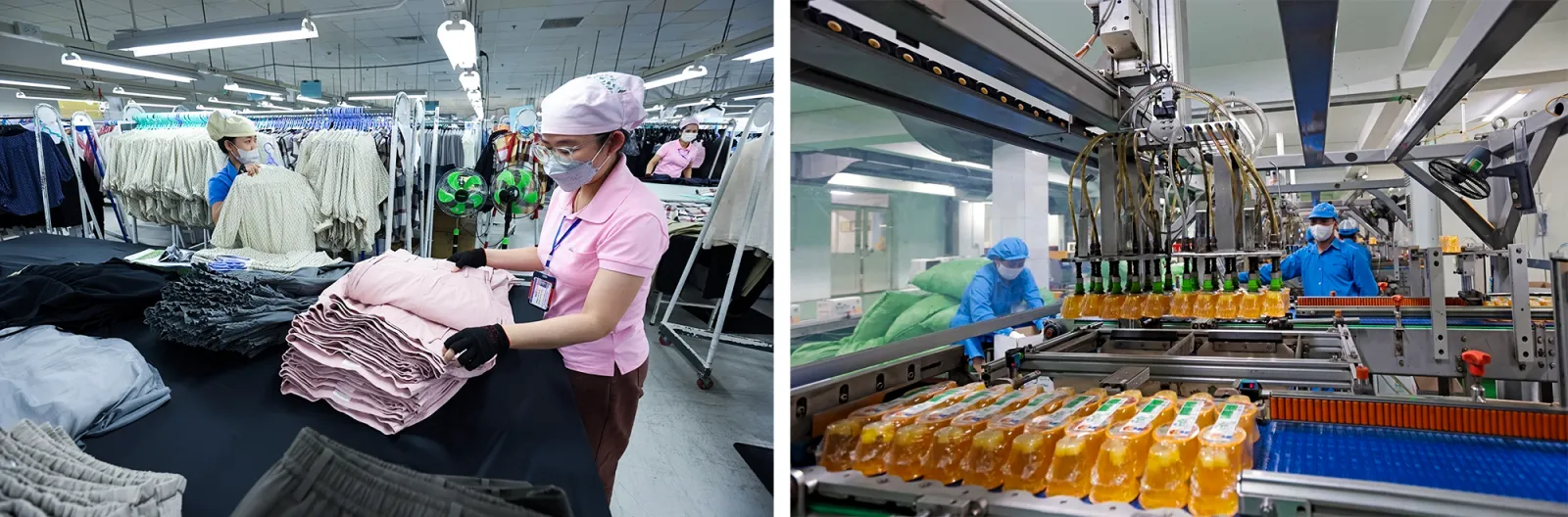 Việt Nam đã trở thành một quốc gia xuất khẩu quan trọng (Ảnh: TTXVN)