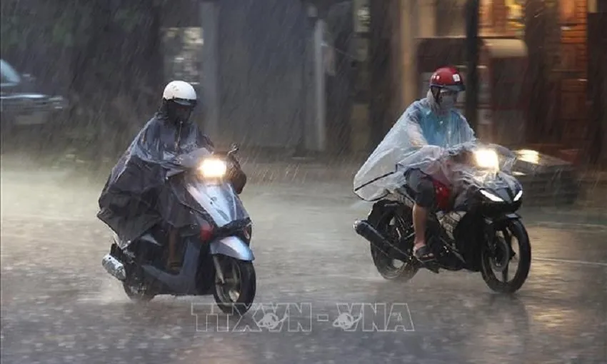 Dự báo xảy ra mưa có cường độ lớn trên 100mm tại nhiều khu vực
