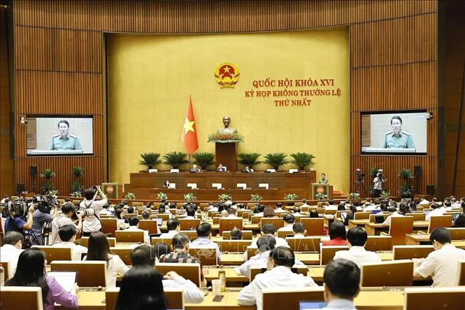 Bộ trưởng Bộ Công an Lương Tam Quang, thừa ủy quyền của Thủ tướng Chính phủ trình bày Tờ trình về 02 dự án: Bộ luật Hình sự (sửa đổi); Luật Tổ chức cơ quan điều tra hình sự (sửa đổi) (Ảnh: Doãn Tấn/TTXVN)