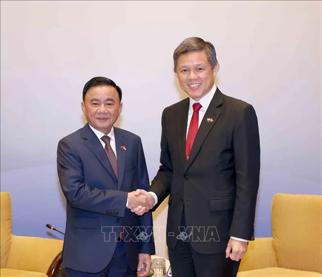 Phó Tổng Thư ký Đảng Hành động Nhân dân Singapore, Bộ trưởng Bộ Quốc phòng kiêm Bộ trưởng Điều phối dịch vụ công Chan Chun Sing đón Ủy viên Bộ Chính trị, Thường trực Ban Bí thư Trần Cẩm Tú (Ảnh: Phương Hoa/TTXVN)
