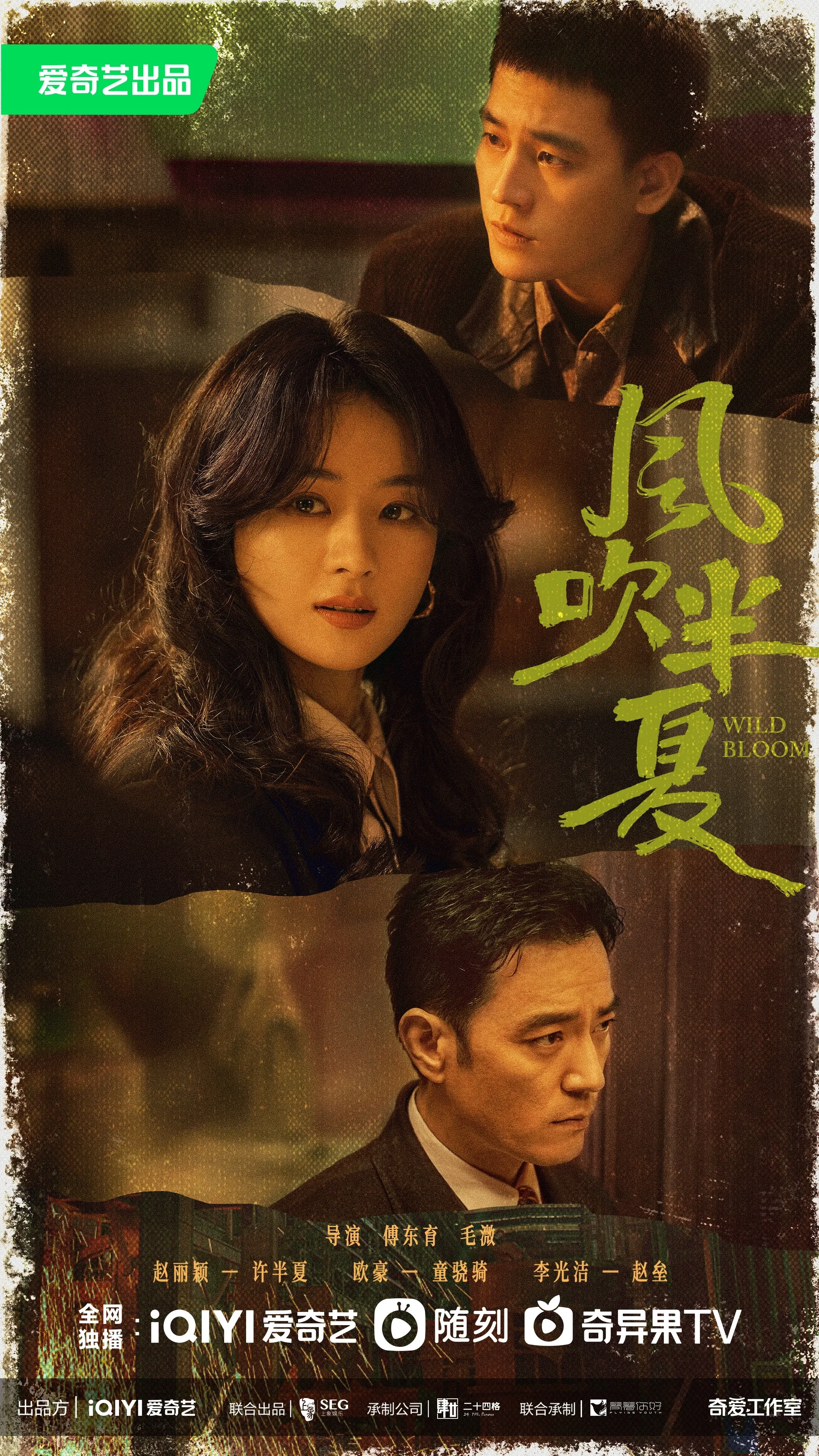 Poster phim Gió Thổi Bán Hạ