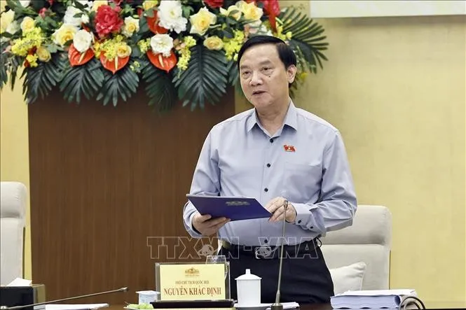 Phó Chủ tịch Quốc hội Nguyễn Khắc Định - Phó Trưởng Ban Chỉ đạo phát biểu (Ảnh Doãn Tấn/TTXVN)
