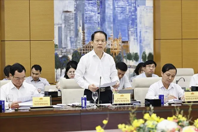 Bộ trưởng Bộ Tư pháp Hoàng Thanh Tùng phát biểu (Ảnh: Doãn Tấn/TTXVN)