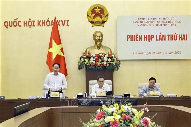 Phó Thủ tướng Chính phủ Lê Tiến Châu - Phó Trưởng ban Thường trực Ban Chỉ đạo phát biểu (Ảnh: Doãn Tấn/TTXVN)
