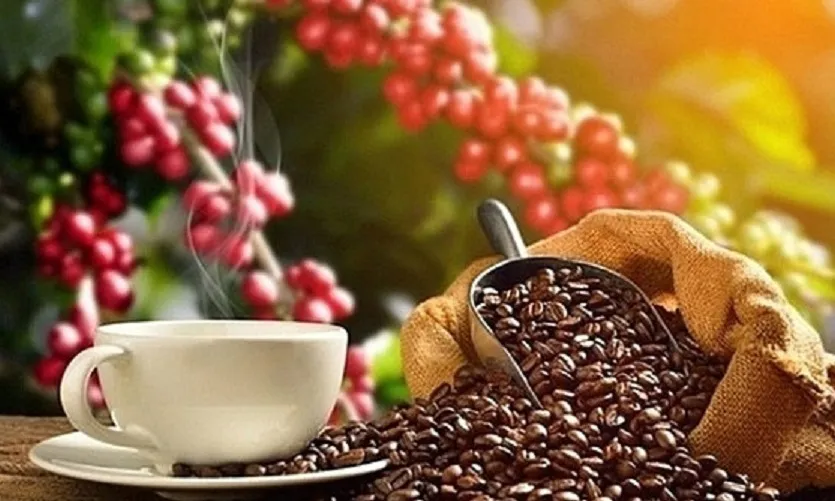 Giá nông sản ngày 27/8: Giá cà phê giảm, giá tiêu ổn định