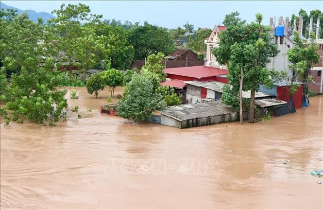 thiet-hai-bao-so-4-
