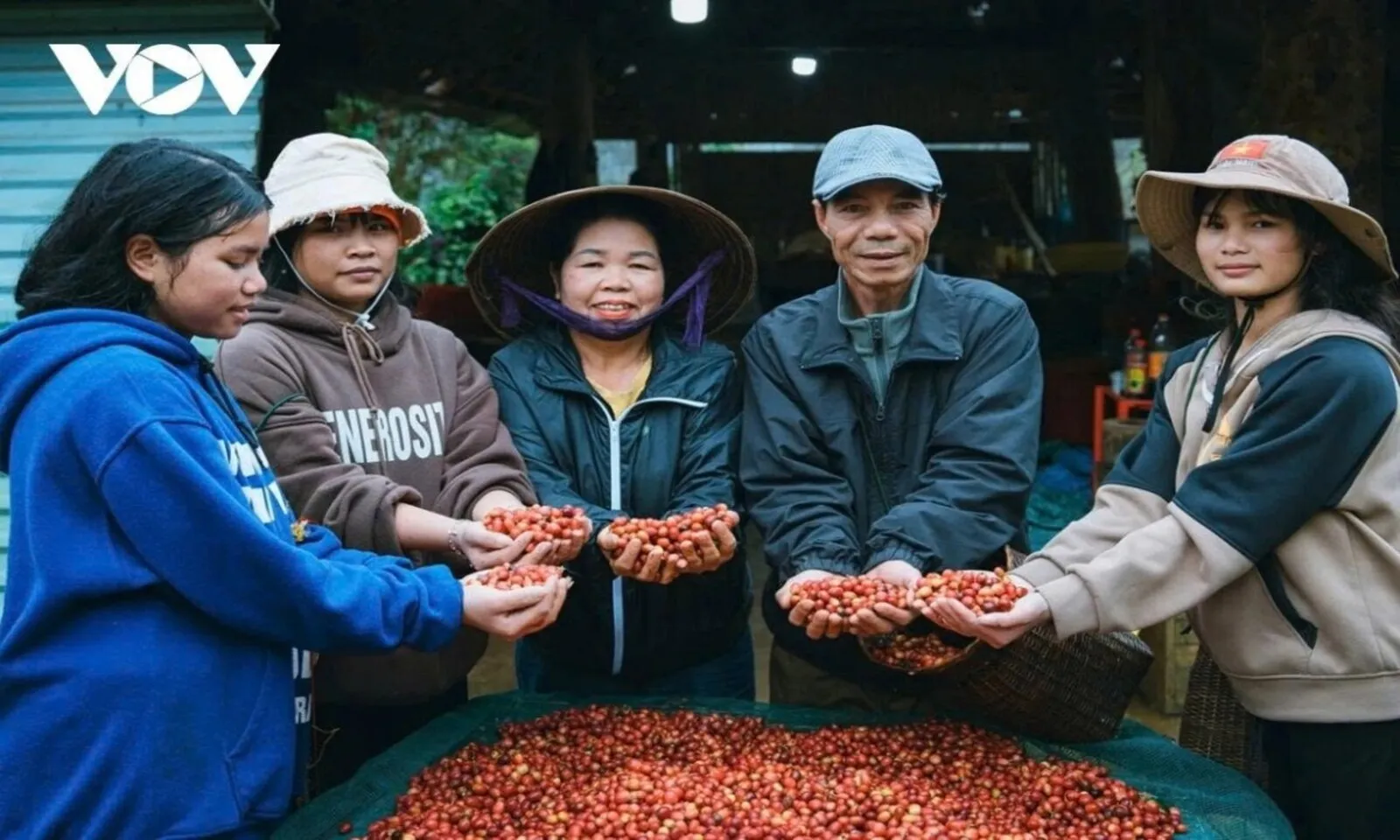Giá cà phê hôm nay 30-8 Robusta giảm, Arabica tăng - Ảnh 1