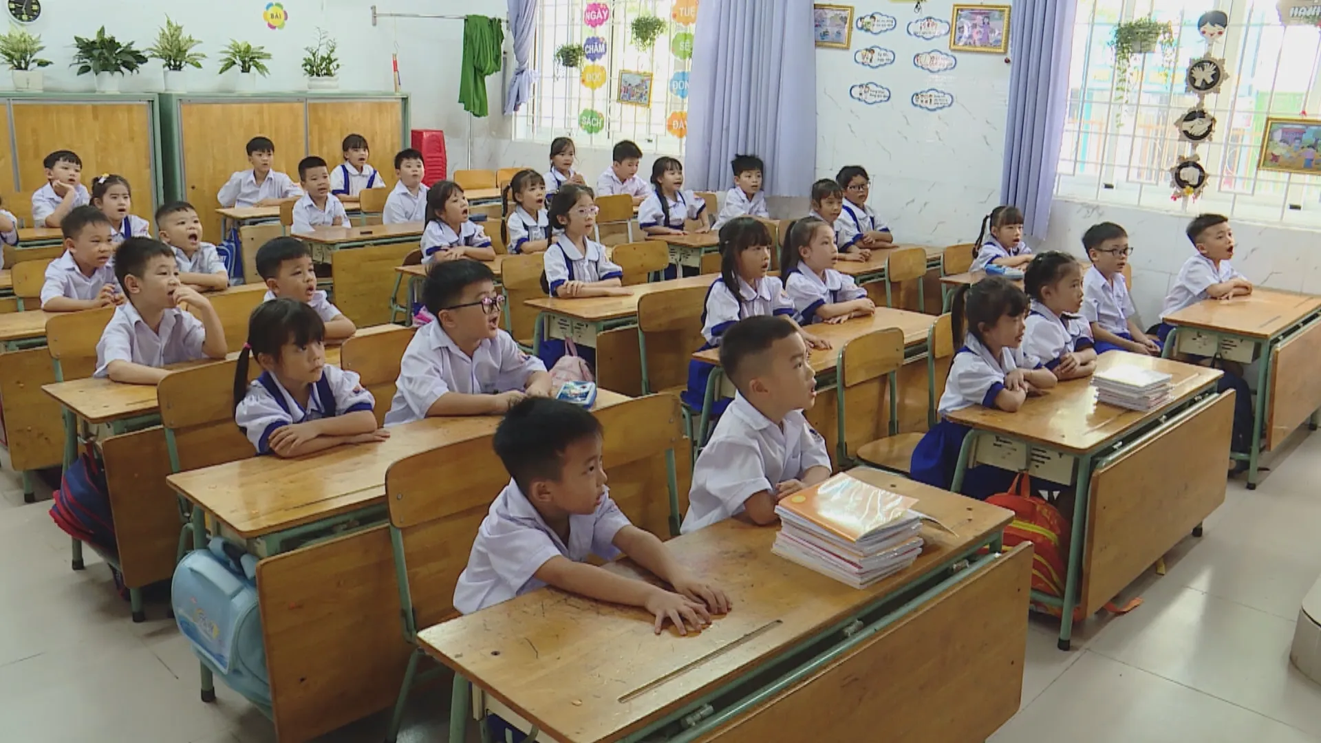 Vươn Khơi - Ngày 31/8/2026 | Xã Phước Hải: Từ vùng đất cách mạng đến sức sống mới - Ảnh 7. Vươn Khơi - Ngày 31/8/2026 | Xã Phước Hải: Từ vùng đất cách mạng đến sức sống mới - Ảnh 7.