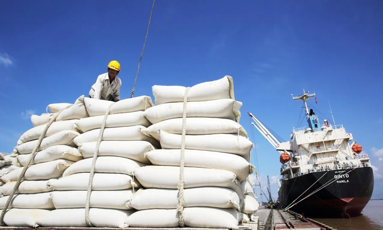 Xuất khẩu gạo đạt 2,91 tỷ USD trong 8 tháng