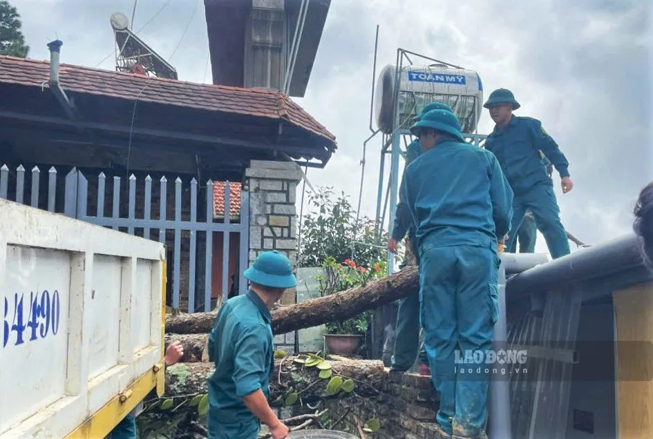 Các lực lượng tập trung cắt cưa giải phóng hiện trường cây thông đổ vào khu dân cư - Ảnh: Hậu Nguyễn - Lao Động