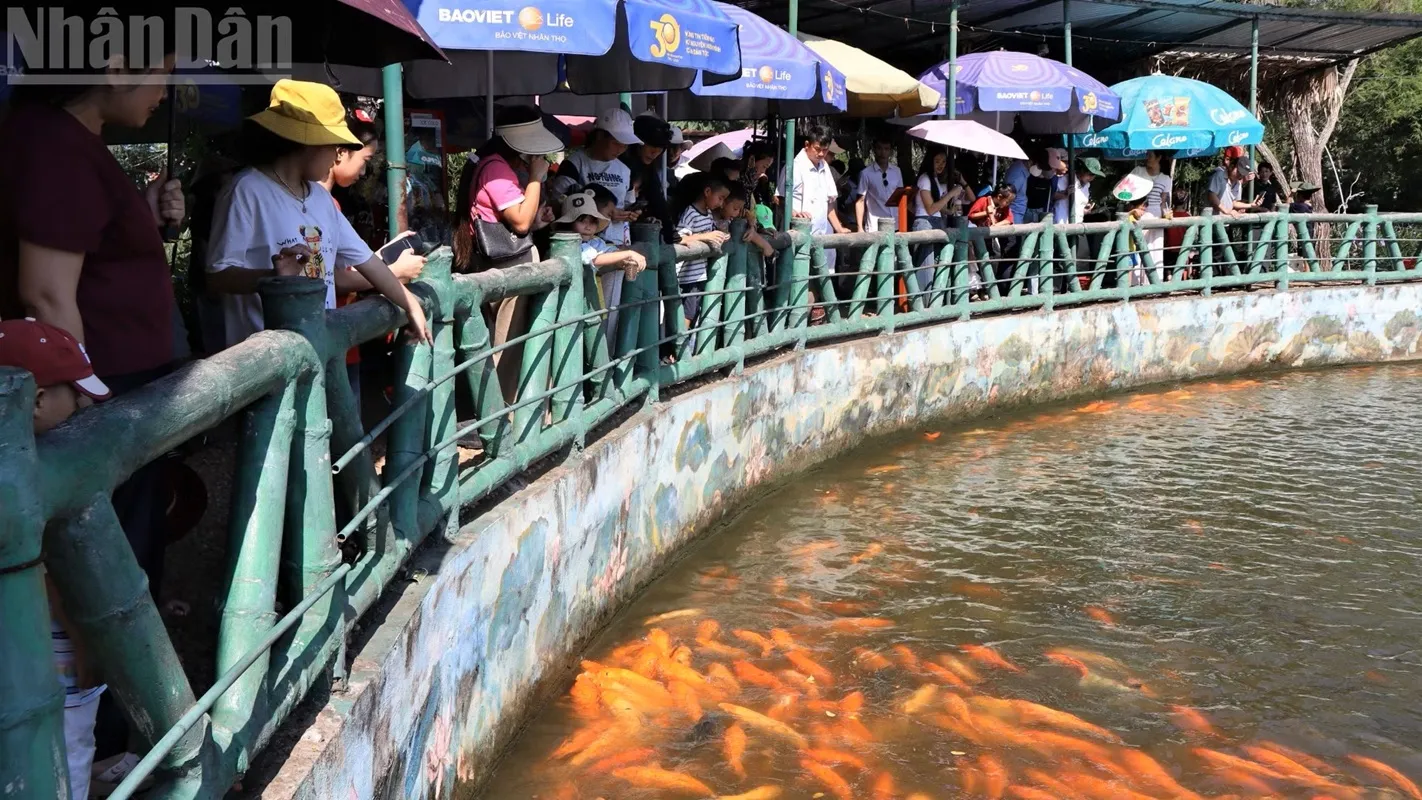 người dân về thăm quê Bác-h8