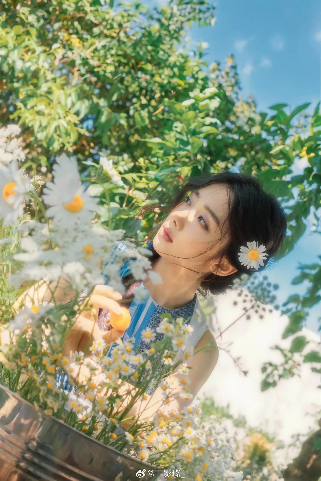 Vương Ảnh Lộ