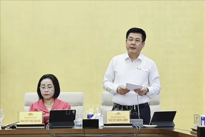 Phó Chủ tịch Quốc hội Nguyễn Hồng Diên phát biểu (Ảnh: Doãn Tấn/TTXVN)
