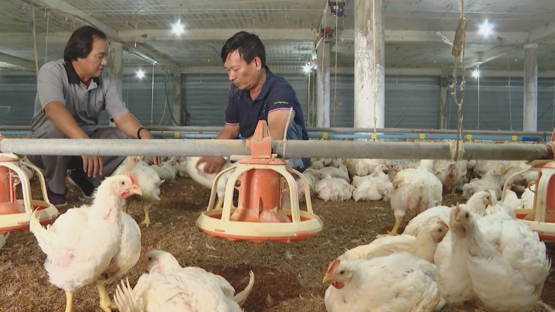 Kiểm soát mật độ chăn nuôi, hướng đến chăn nuôi bền vững - Ảnh 4.