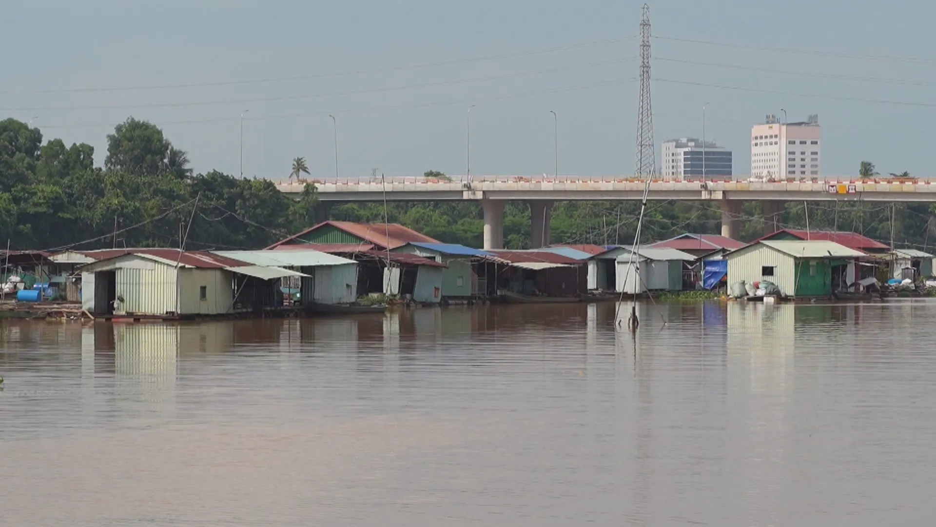 60 Giây Sáng ngày 8/9/2026 | Người dân miền Tây thu nhập ổn định nhờ bông súng mùa nước nổi - Ảnh 3.