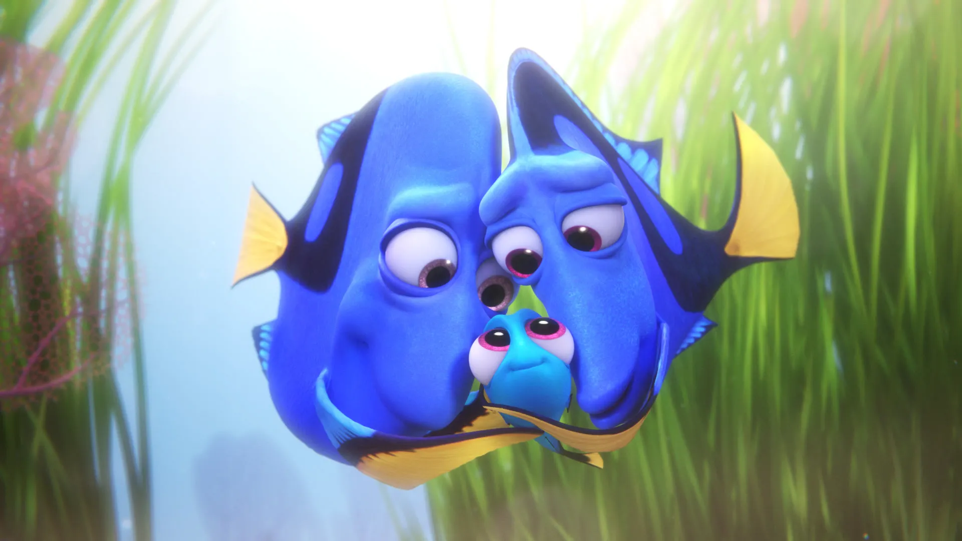  Finding Dory (2016) 