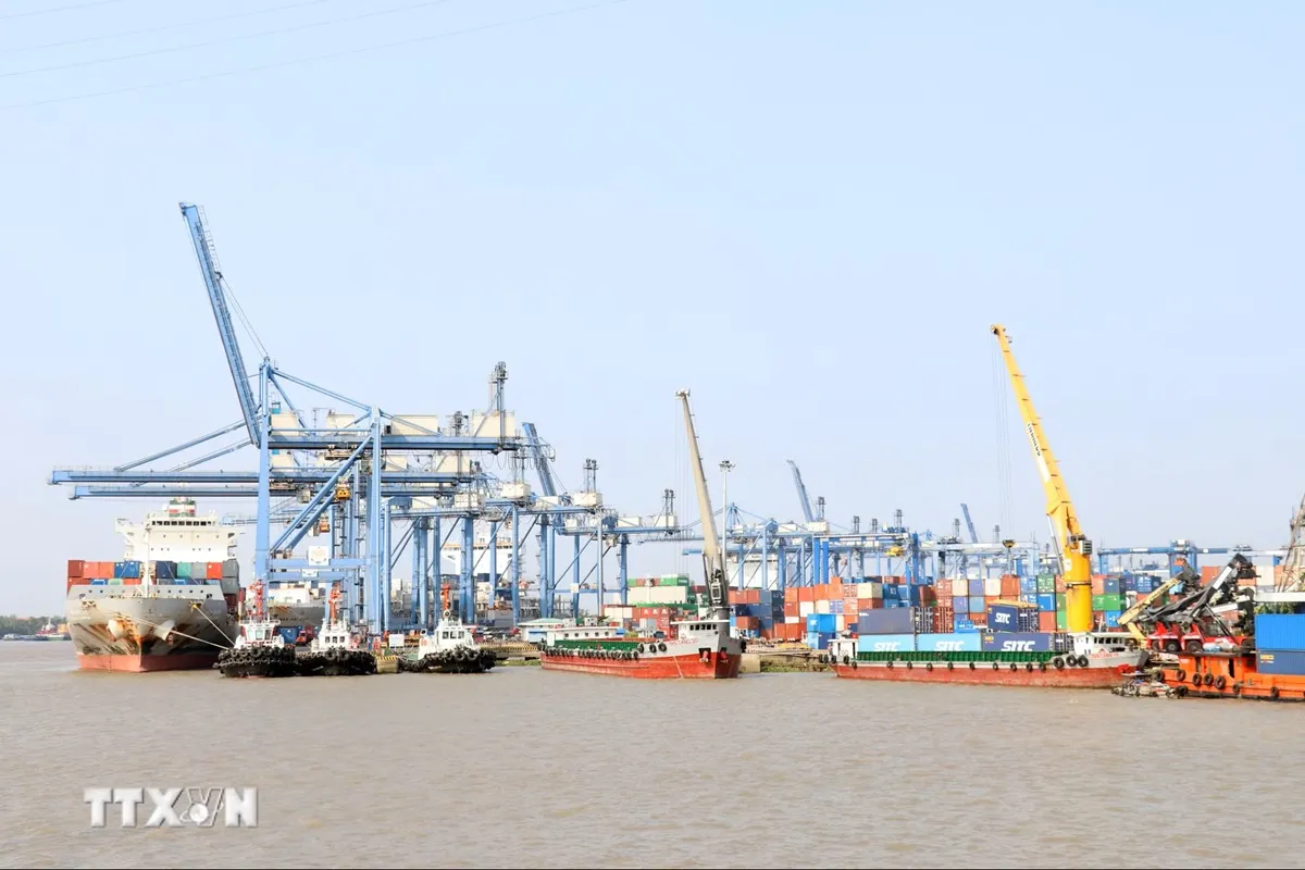 Tân cảng Cát Lái
