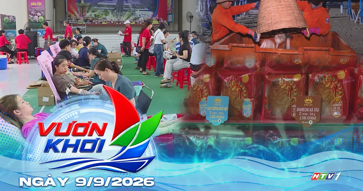 Vươn Khơi - Ngày 9/9/2026 | Những người làm sạch biển