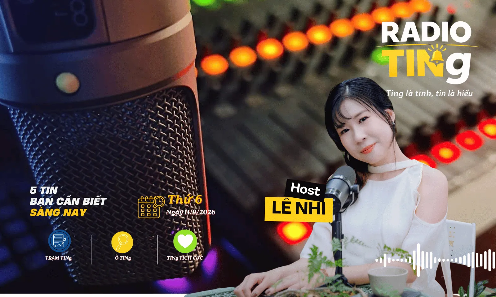 RADIO TINg 11/9: TP.HCM phạt nguội lấn vỉa hè | Khối đá nguyên khối tựa chú voi khổng lồ
