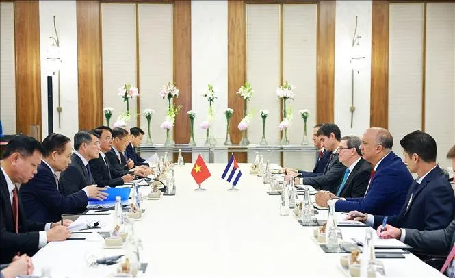 Thủ tướng Lê Minh Hưng tiếp Bộ trưởng Ngoại giao Cuba Bruno Rodríguez Parrilla. (Ảnh: Dương Giang/TTXVN)