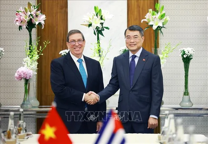 Thủ tướng Lê Minh Hưng tiếp Bộ trưởng Ngoại giao Cuba Bruno Rodríguez Parrilla. (Ảnh: Dương Giang/TTXVN)