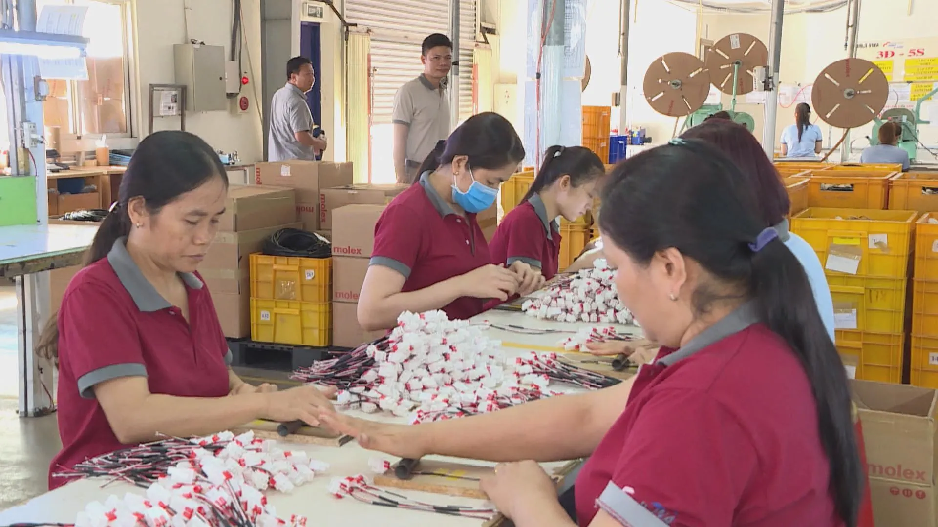 Vươn Khơi - Ngày 13/9/2026 | Hình thành các cực tăng trưởng công nghiệp vùng- Ảnh 3. Vươn Khơi - Ngày 13/9/2026 | Hình thành các cực tăng trưởng công nghiệp vùng- Ảnh 3.