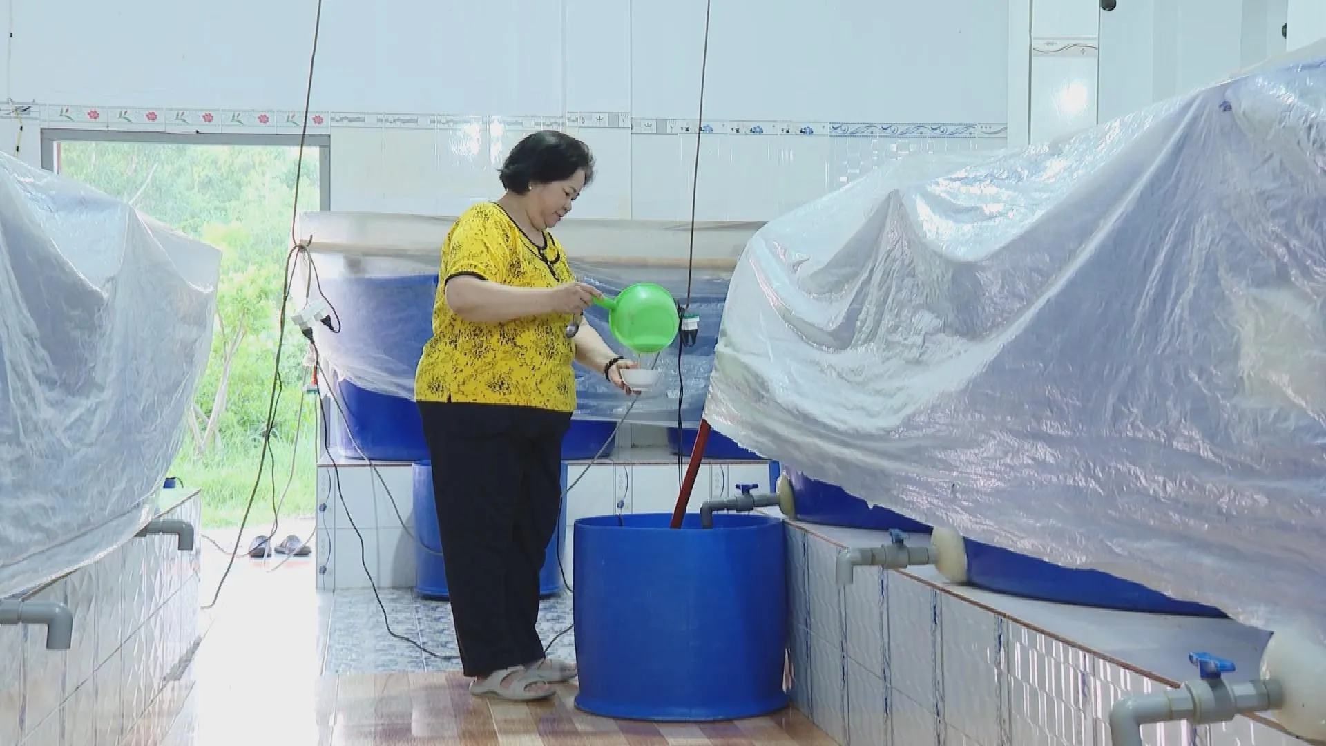 Vươn Khơi - Ngày 13/9/2026 | Hình thành các cực tăng trưởng công nghiệp vùng- Ảnh 8. Vươn Khơi - Ngày 13/9/2026 | Hình thành các cực tăng trưởng công nghiệp vùng- Ảnh 8.
