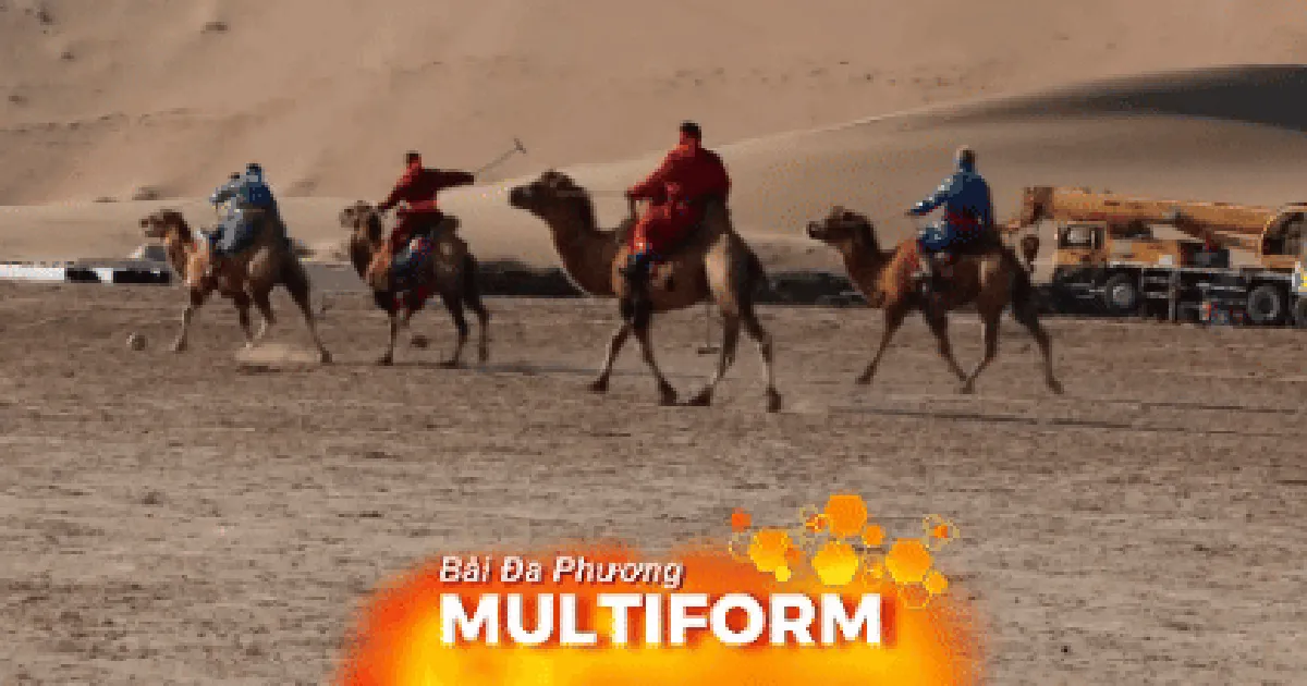 Thi đấu polo sa mạc tại Nội Mông, Trung Quốc