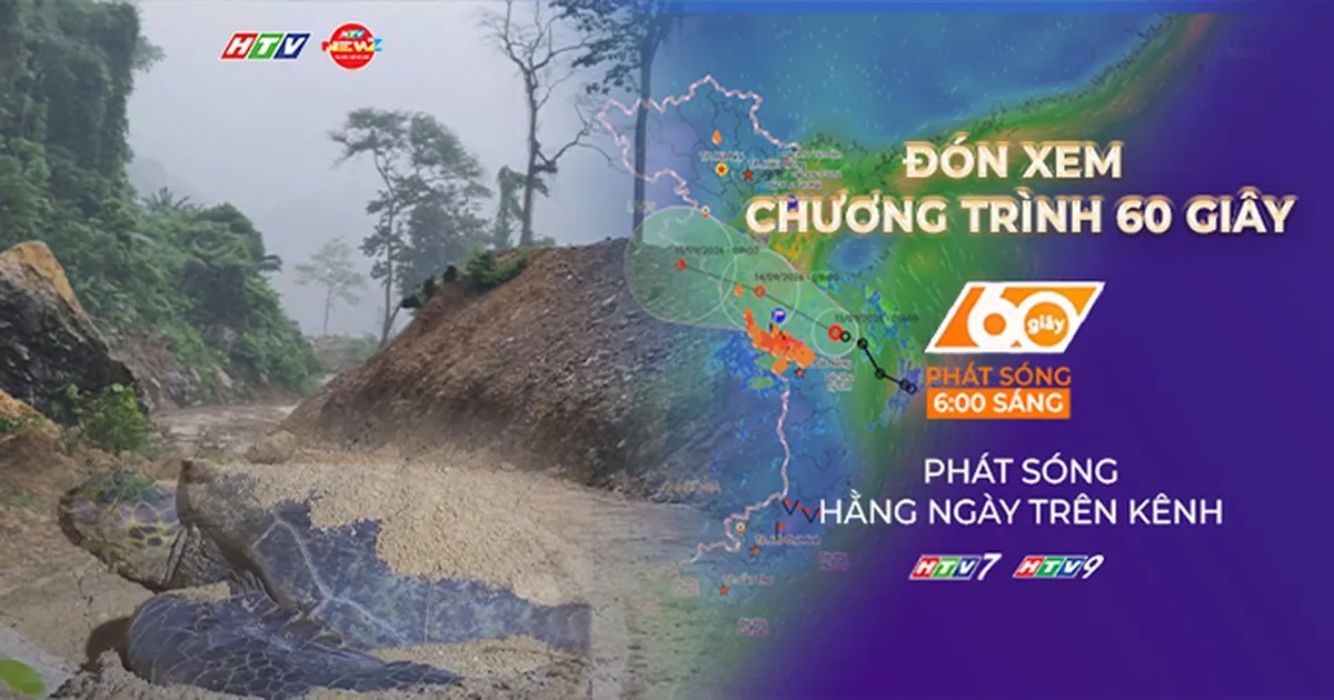 60 Giây Sáng ngày 13/9/2026 | Lâm Đồng: Rùa biển lên đảo Hòn Cau đẻ trứng