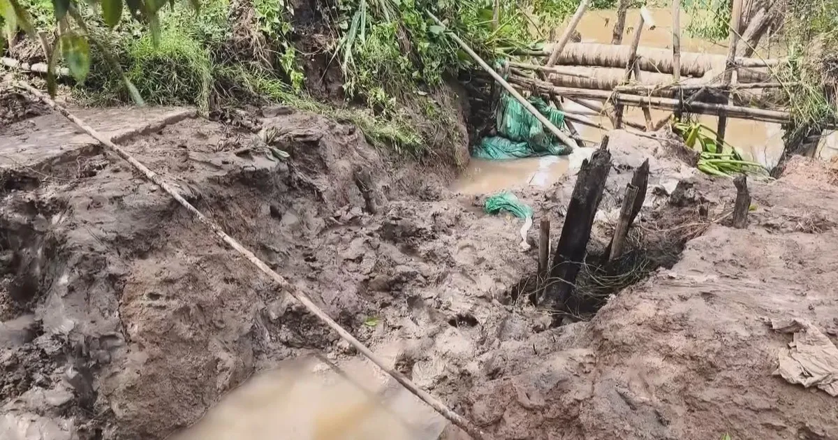 Triều cường làm sạt lở đê bao, ngập hơn 15 ha vườn cây ở Tân Phú
