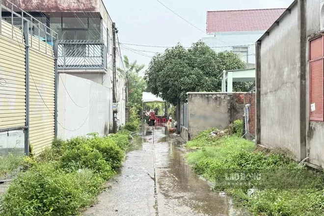 Bắt nghi phạm trong vụ án mạng khiến 3 người thương vong ở TP. Hồ Chí Minh- Ảnh 1.