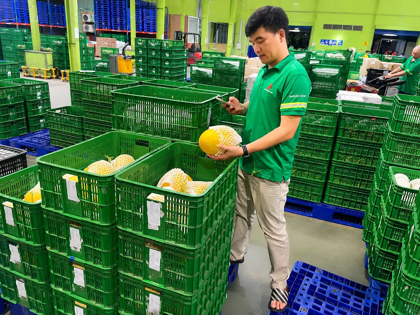 Kiểm tra và đối soát thông tin truy xuất nguồn gốc sản phẩm ngay tại kho