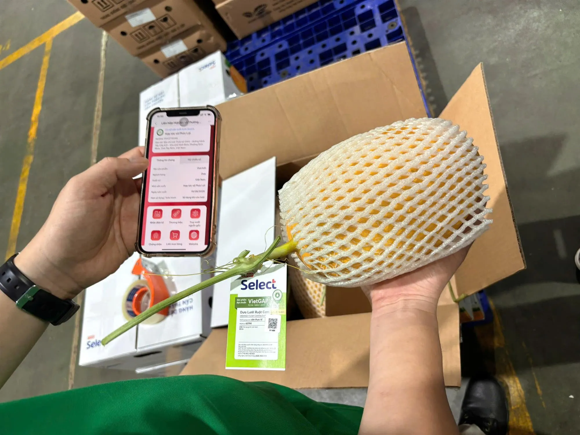 Người tiêu dùng có thể tiếp cận thông tin nguồn gốc sản phẩm thông qua mã QR được kích hoạt trên sản phẩm theo mô hình triển khai