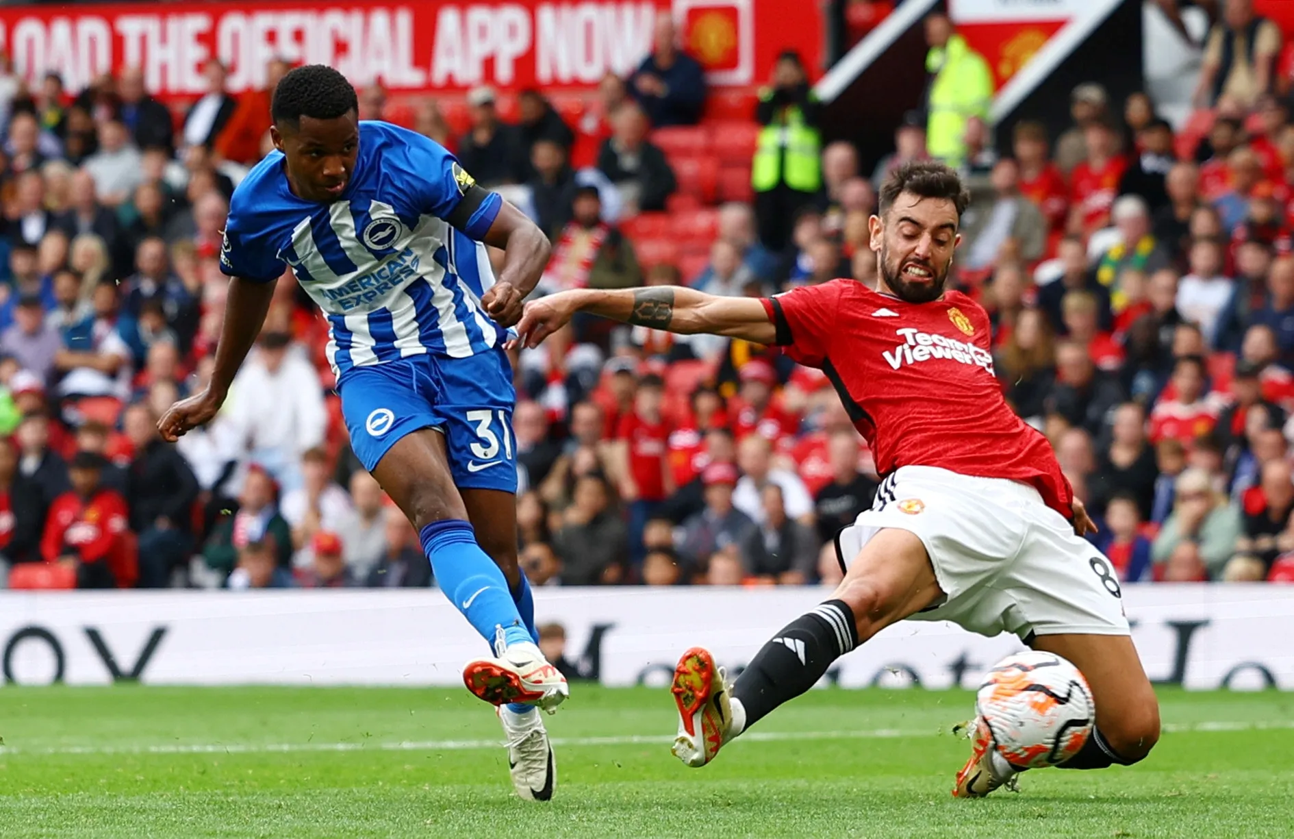 brighton-mu