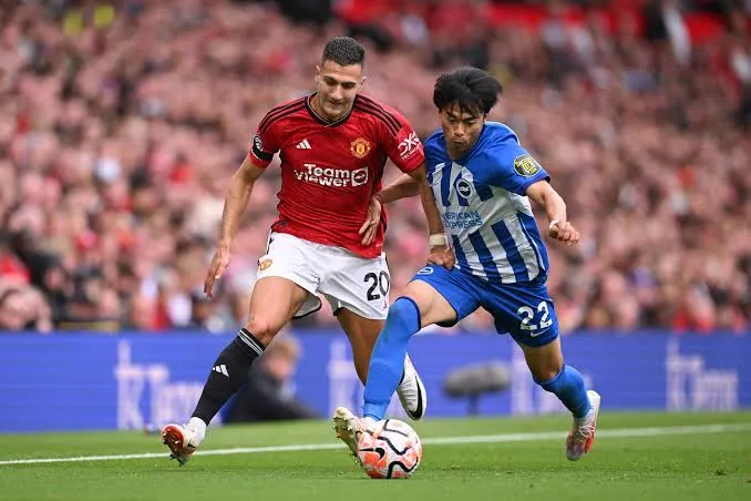 mu-brighton