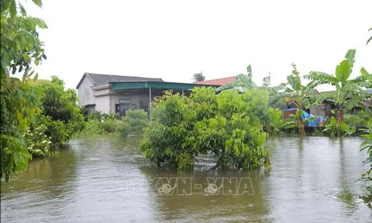 Mưa lũ gây ngập hơn 16.000 căn nhà và thiệt hại nặng nề về nông nghiệp