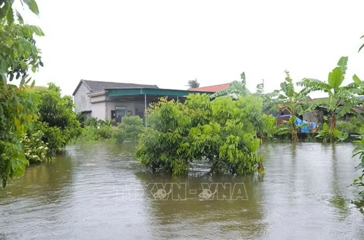 Mưa lũ gây ngập