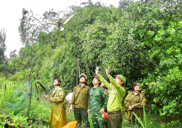 Lực lượng kiểm lâm Hà Tĩnh phối hợp với chính quyền xã Đan Hải thả chim mồi (cói) về môi trường tự nhiên Ảnh: TTO