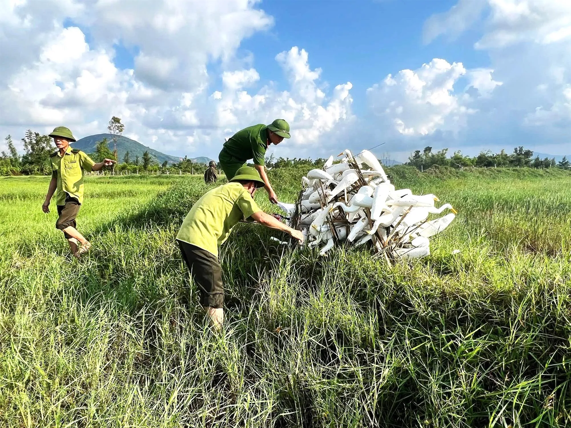 Cò xốp dùng để dụ bắt chim trời sau khi lực lượng chức năng thu giữ sẽ tiêu hủy - Ảnh: TTO