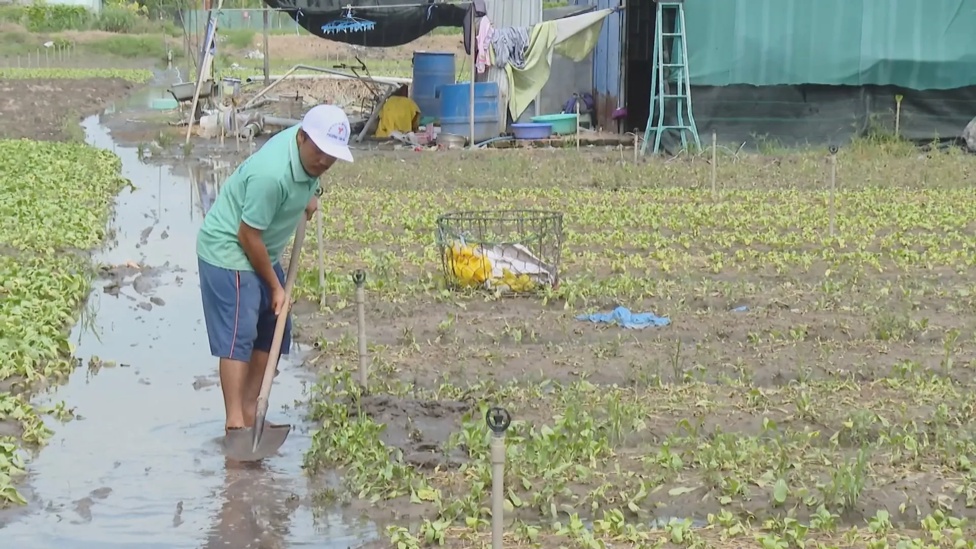 Bí thư Thành ủy TP. Hồ Chí Minh Trần Lưu Quang: Không có câu hỏi đạt được hay không mà phải làm thế nào để đạt được điều đó | Thời sự HTV ngày 21/9/2026 - Ảnh 3.