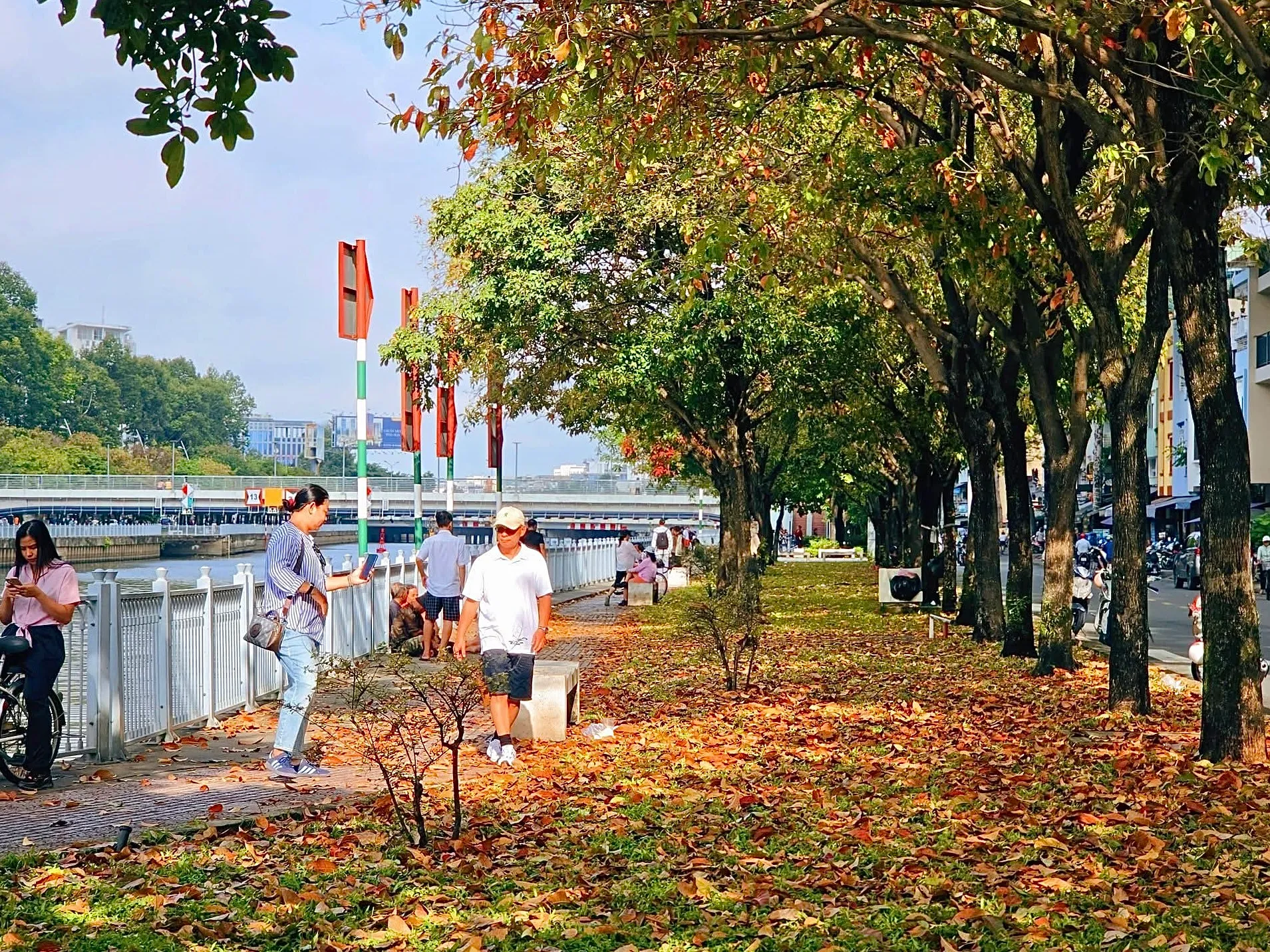 Người trẻ tranh thủ ghi lại khoảnh khắc hàng cây ven kênh Nhiêu Lộc - Thị Nghè vào mùa thay lá (Ảnh: Thế Hiển)