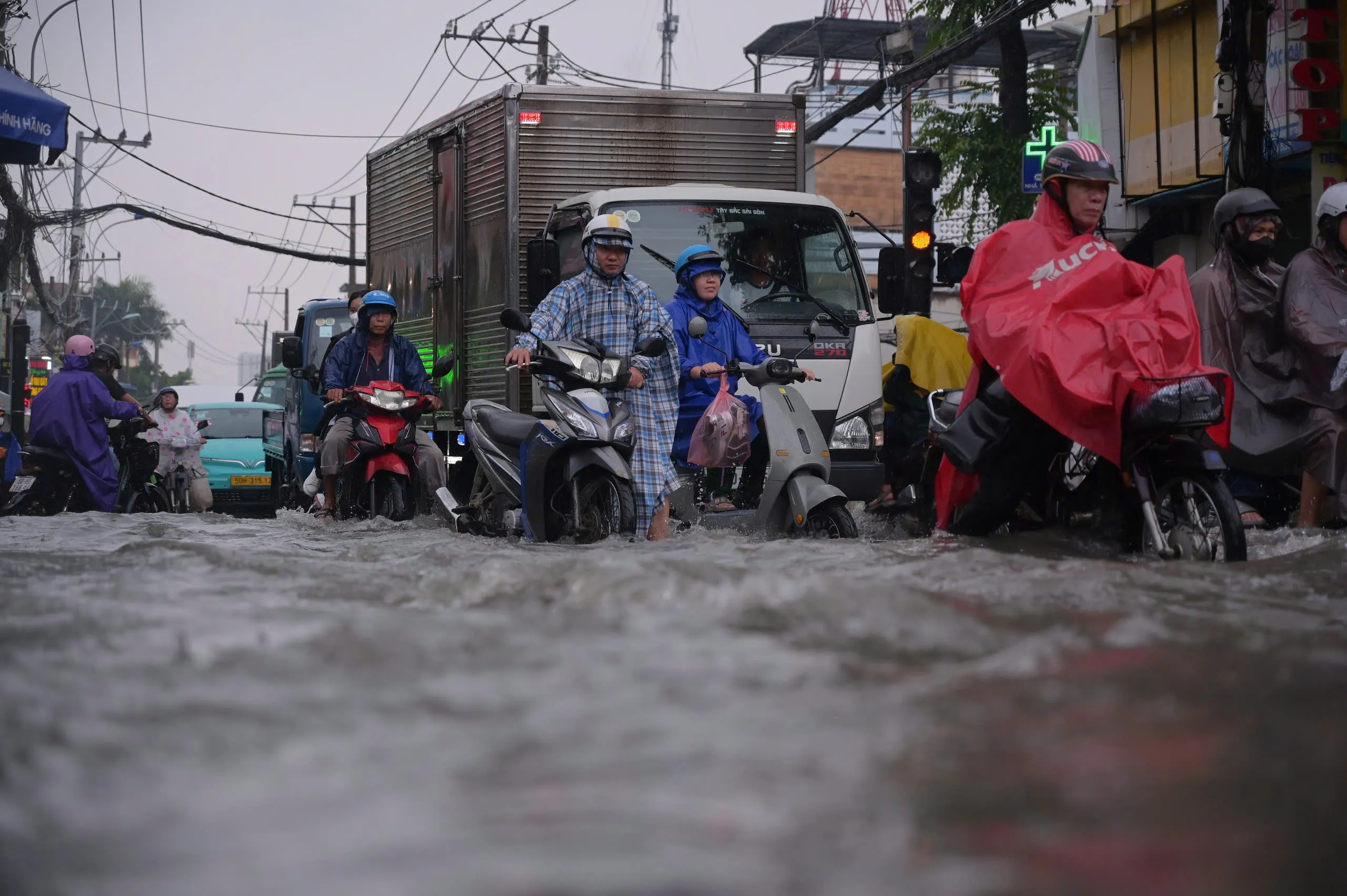mùa mưa tại tphcm