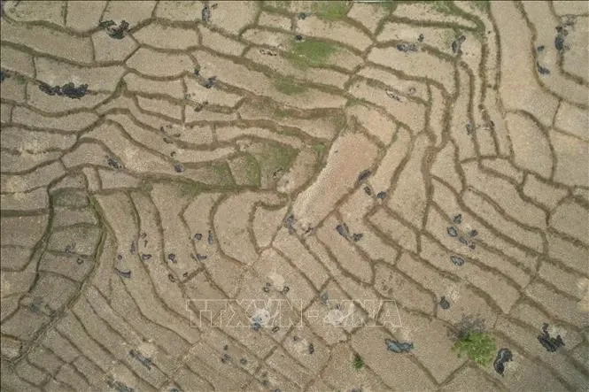 Dự báo siêu El Niño có thể khiến 450.000 người chết trong 6 tháng tới Dự báo siêu El Niño có thể khiến 450.000 người chết trong 6 tháng tới