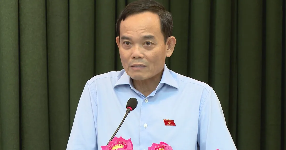 TP. Hồ Chí Minh: Đảm bảo nhà ở xã hội và tái định cư có tiêu chuẩn ngang nhà ở thương mại