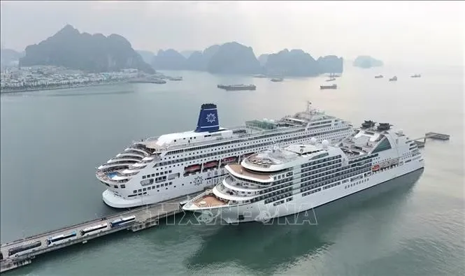 Toàn cảnh Cảng tàu khách quốc tế Hạ Long nhộn nhịp trong sáng mùng 1 Tết Bính Ngọ 2026 với sự xuất hiện của hai siêu du thuyền hạng sang Seabourn Encore và Piano Land. Ảnh: Thanh Vân/TTXVN Toàn cảnh Cảng tàu khách quốc tế Hạ Long nhộn nhịp trong sáng mùng 1 Tết Bính Ngọ 2026 với sự xuất hiện của hai siêu du thuyền hạng sang Seabourn Encore và Piano Land - Ảnh: Thanh Vân - TTXVN