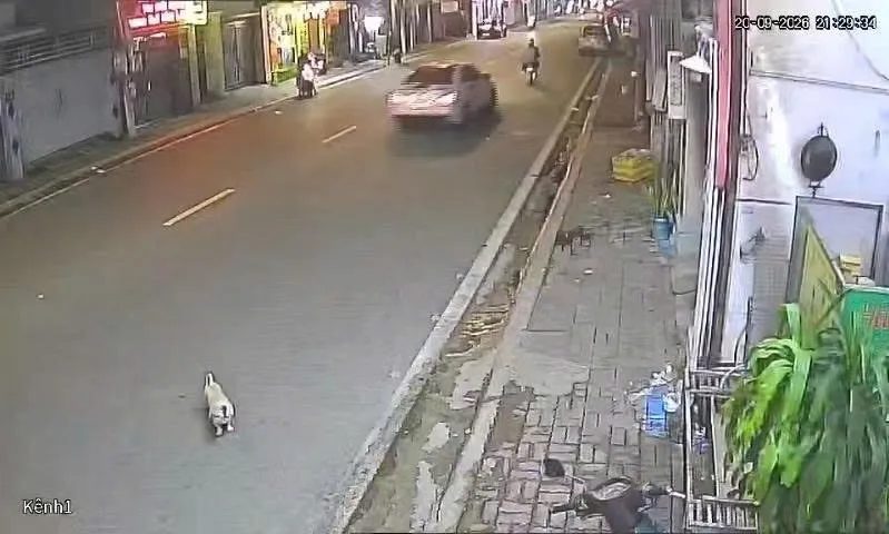 Khởi tố, bắt tạm giam tài xế ô tô gây tai nạn rồi bỏ trốn - Ảnh 1.