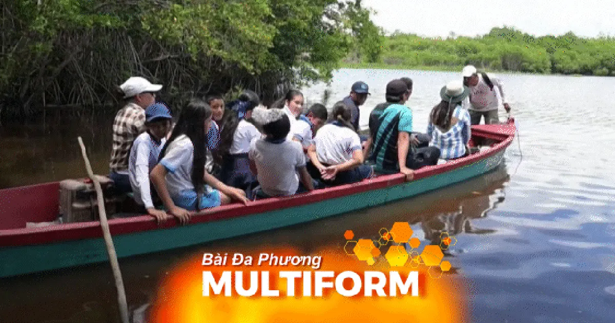 Guatemala: Nhân giống và bảo tồn loài cá láng nhiệt đới