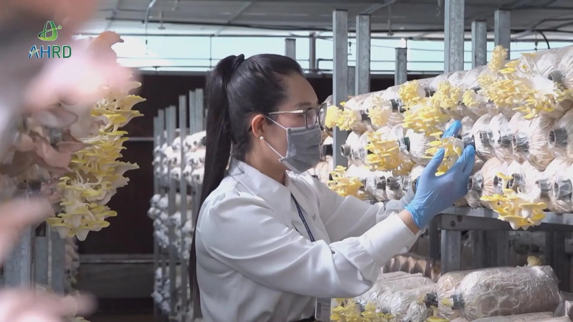 Đòn bẩy pháp lý trong chính sách chiêu mộ nguồn nhân lực chất lượng cao - Ảnh 1.