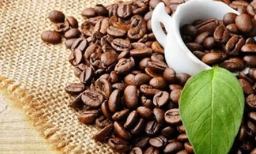Giá cà phê ngày 28/9: Giá trong nước gần 94.000 đồng/kg