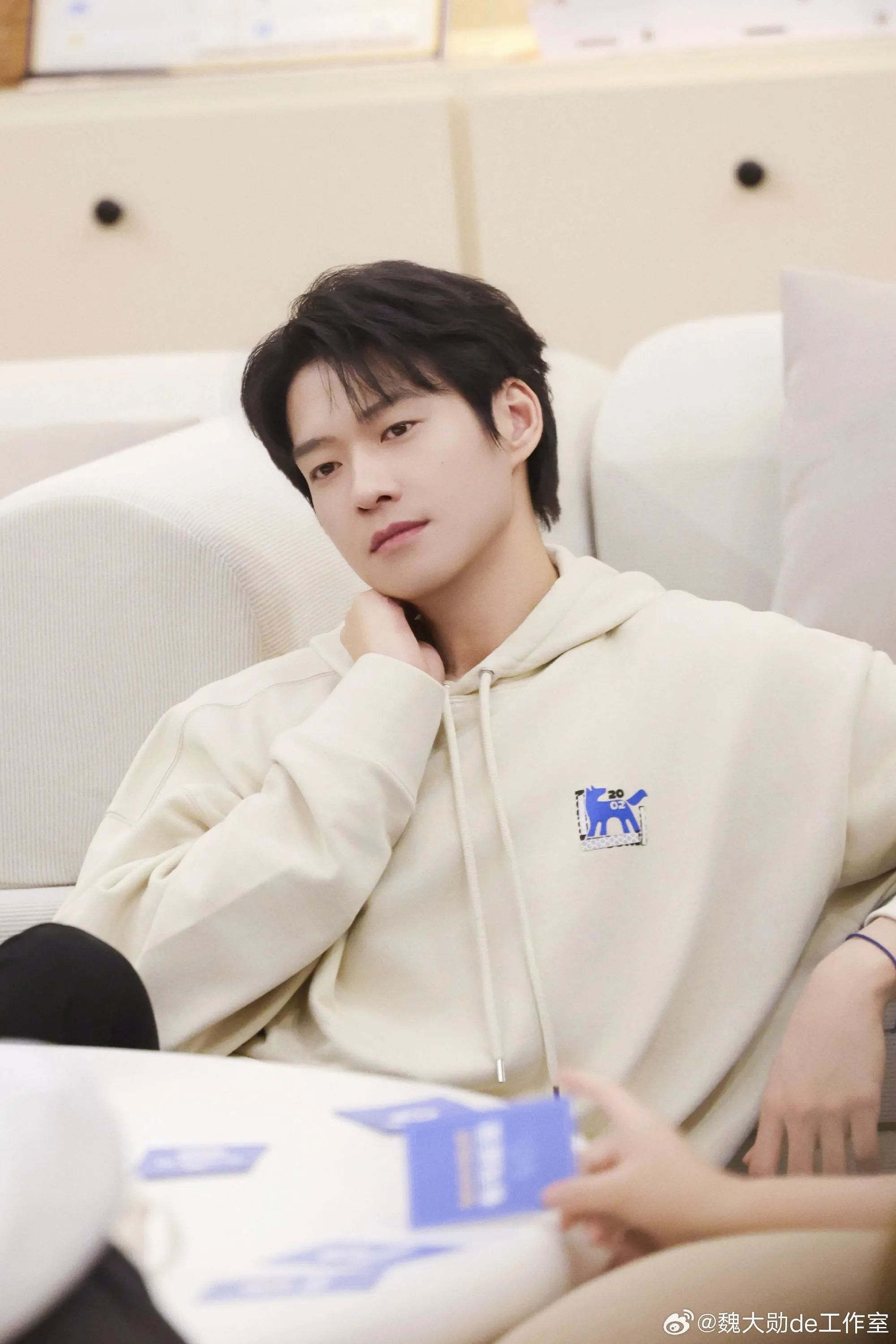 Tiểu sử Ngụy Đại Huân